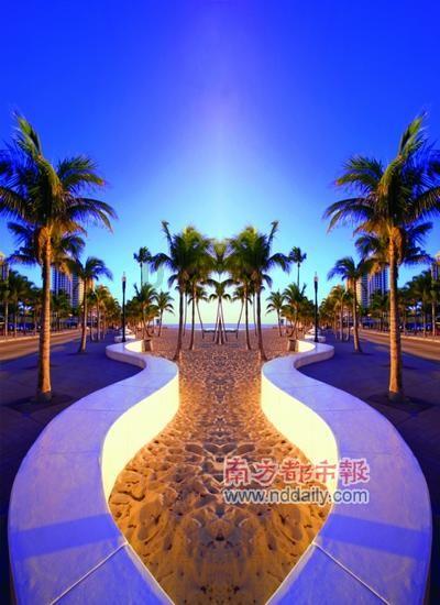 这是什么鸟蛋??知识星球平台-专注知识分享与交流